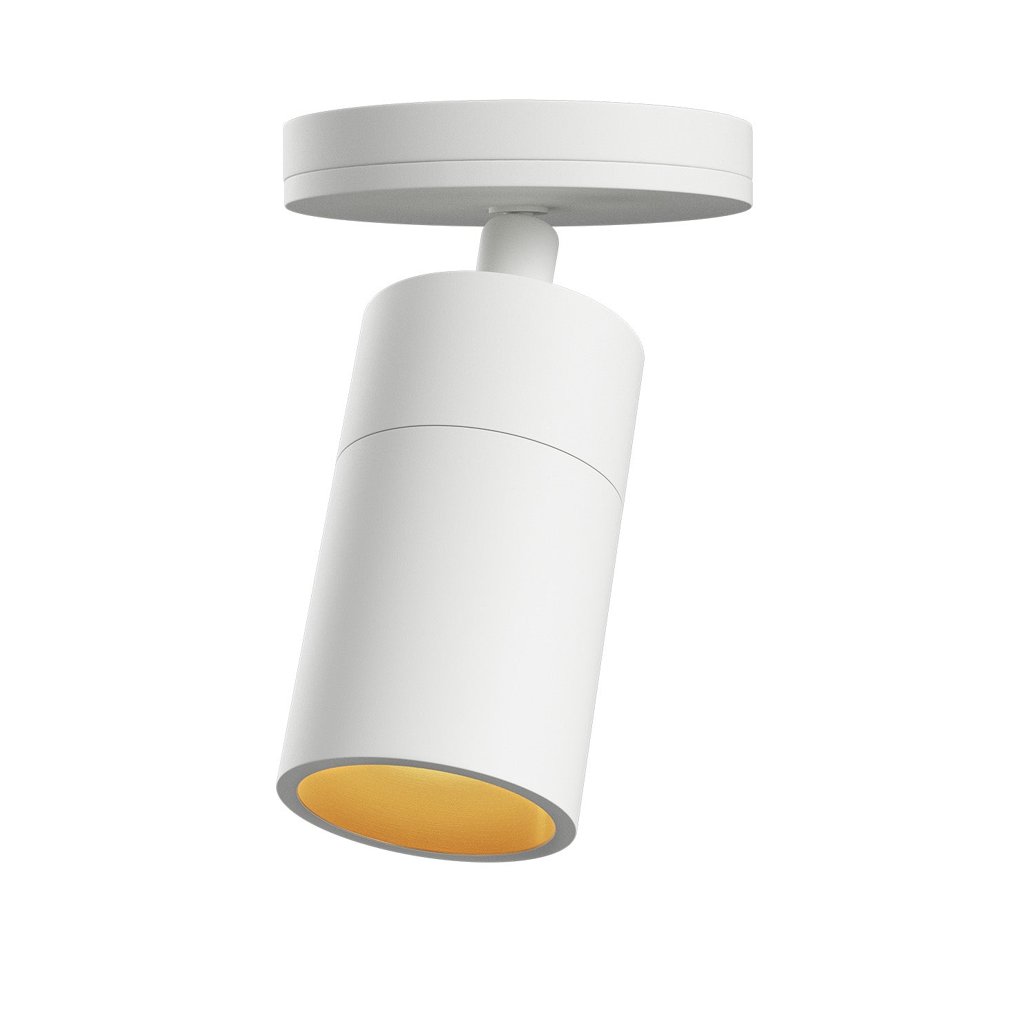 Expo ceiling lamp
