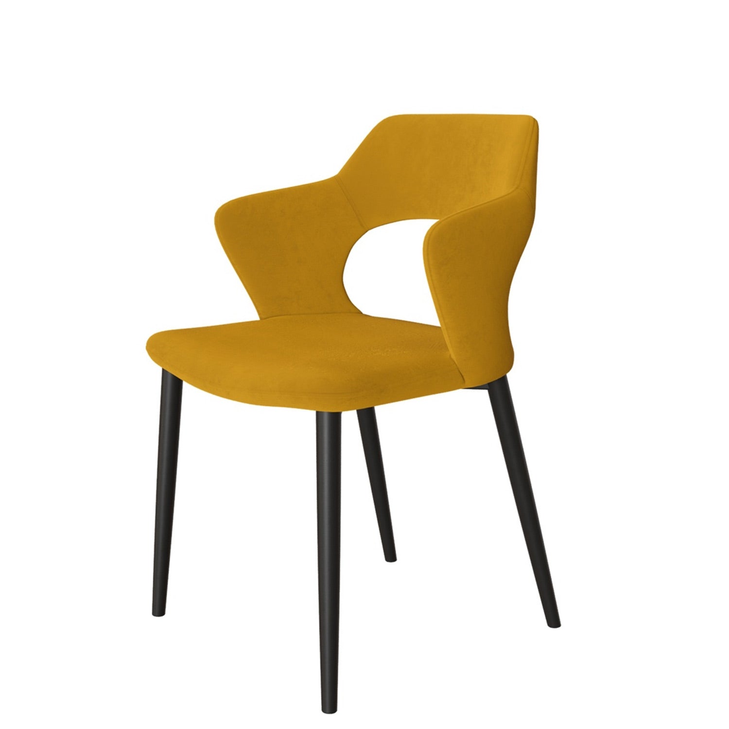 Pretorio BL dining armchair
