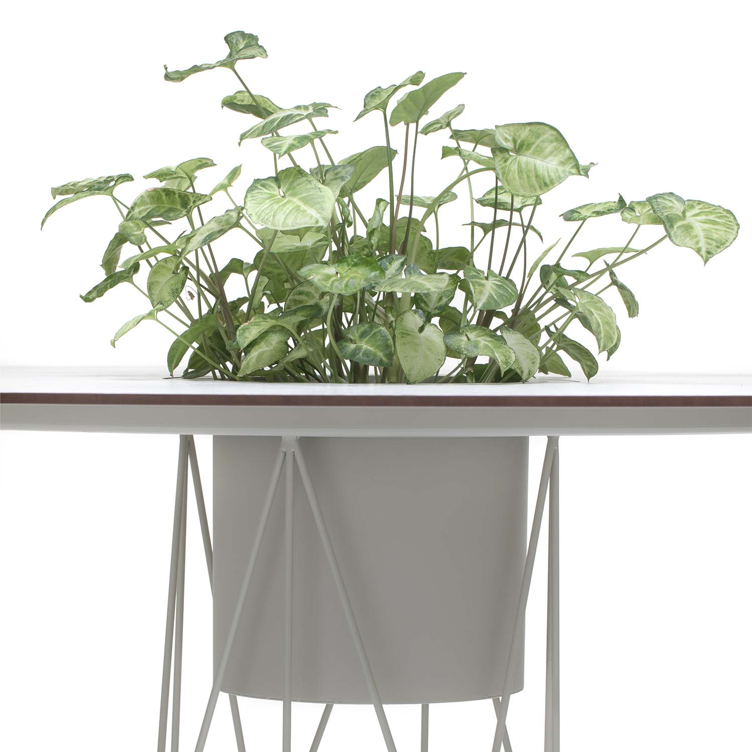 Ataman mesh table - D 1100