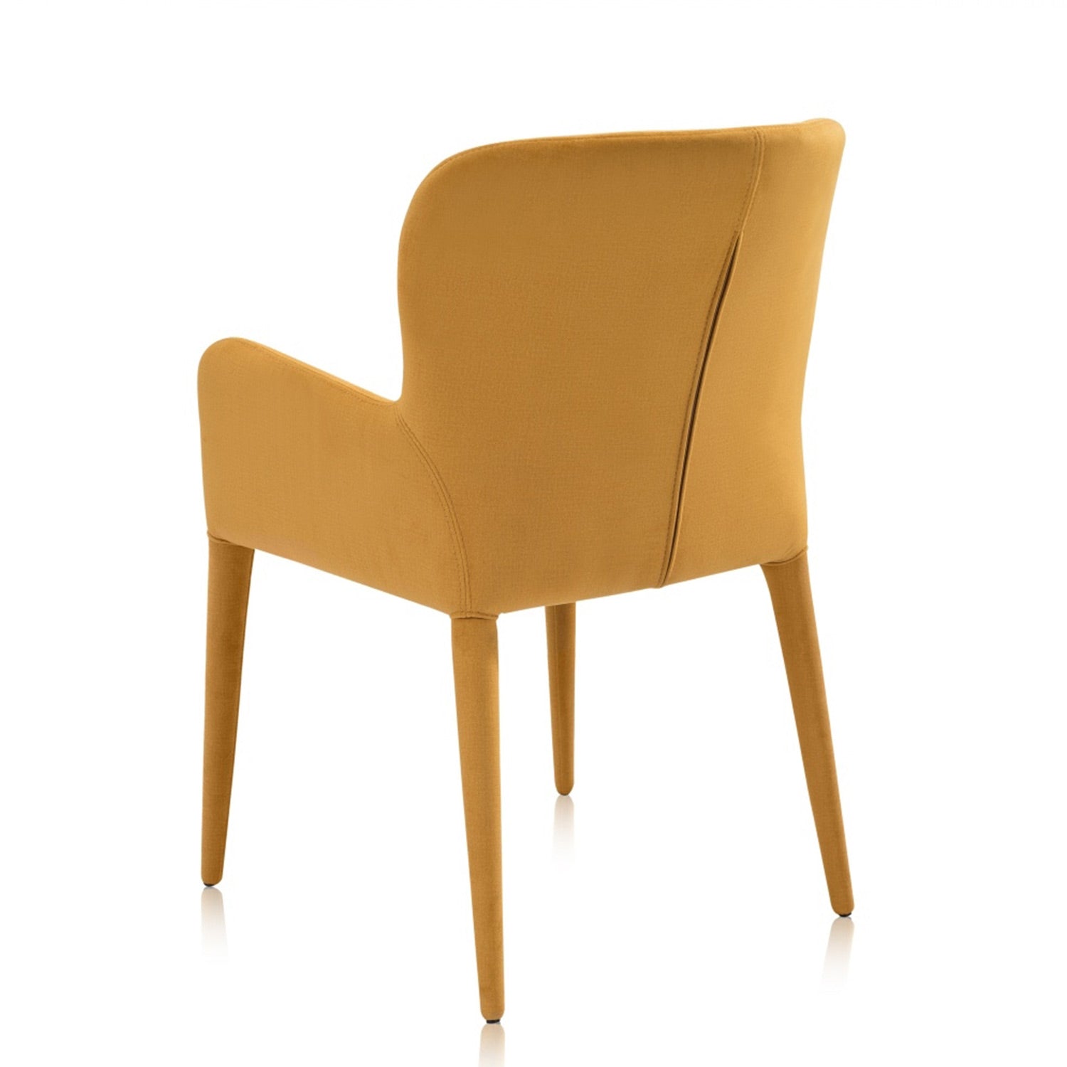 Aviano dining chair
