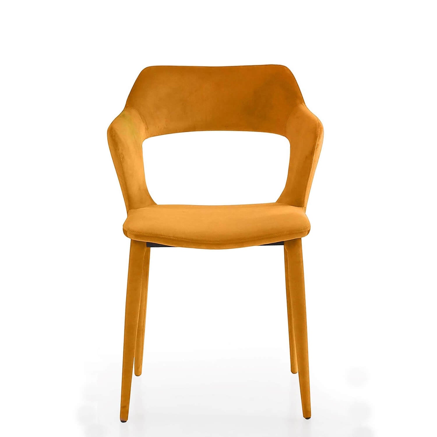 Pretorio dining armchair