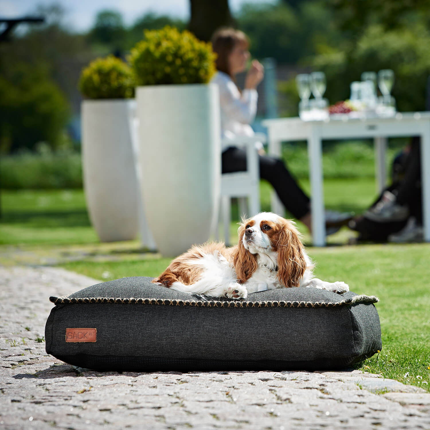 Cobana dog bed