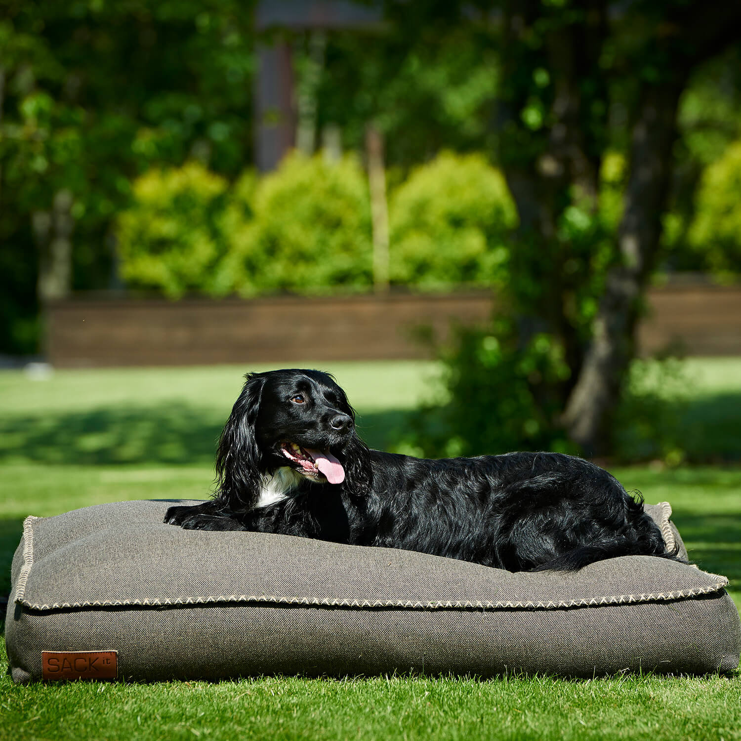 Cobana dog bed