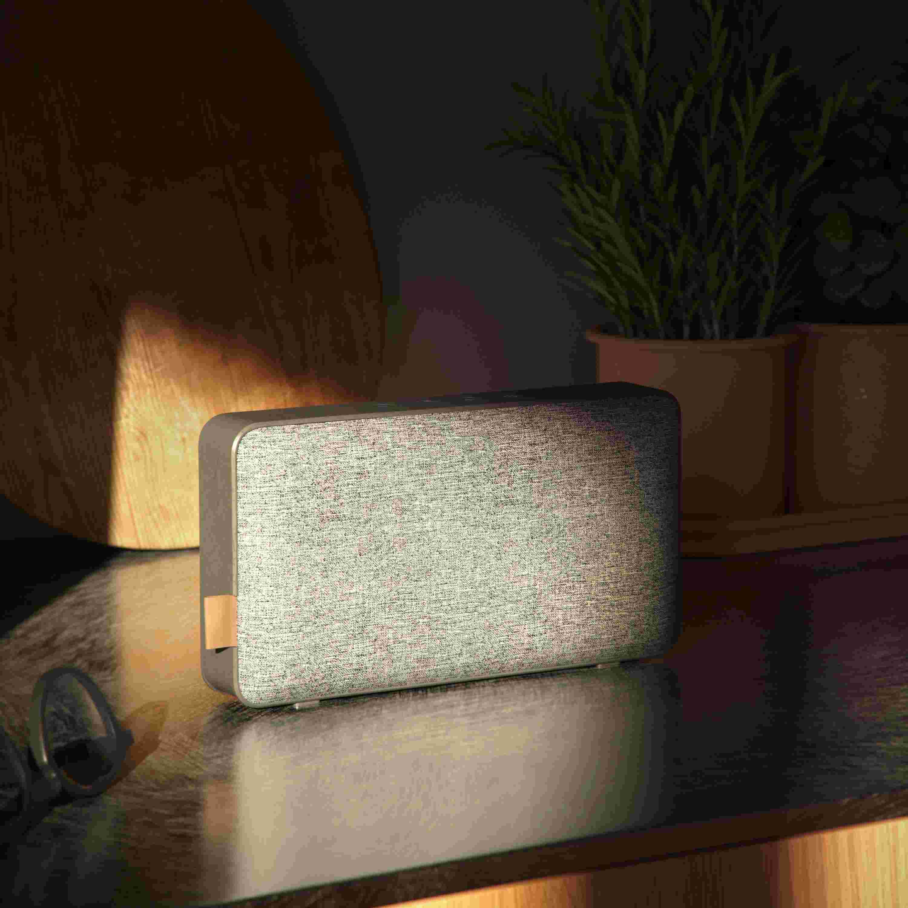 Zvočnik Move 50 Care